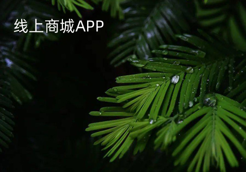 購物捷商城