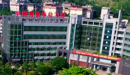 宇淼科技成功簽約中國有色集團（廣西）平桂飛碟股份有限公司-網(wǎng)站制作